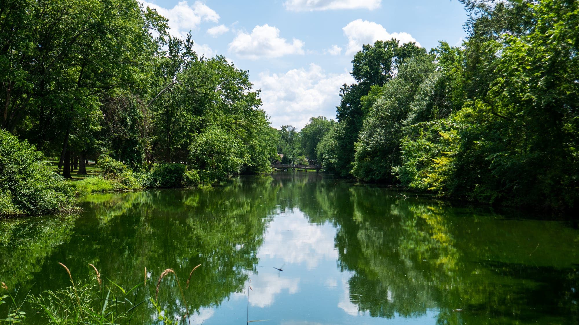 Still green water of a tree-lined pond mirroring summer clouds, dense foliage closing in on both banks.