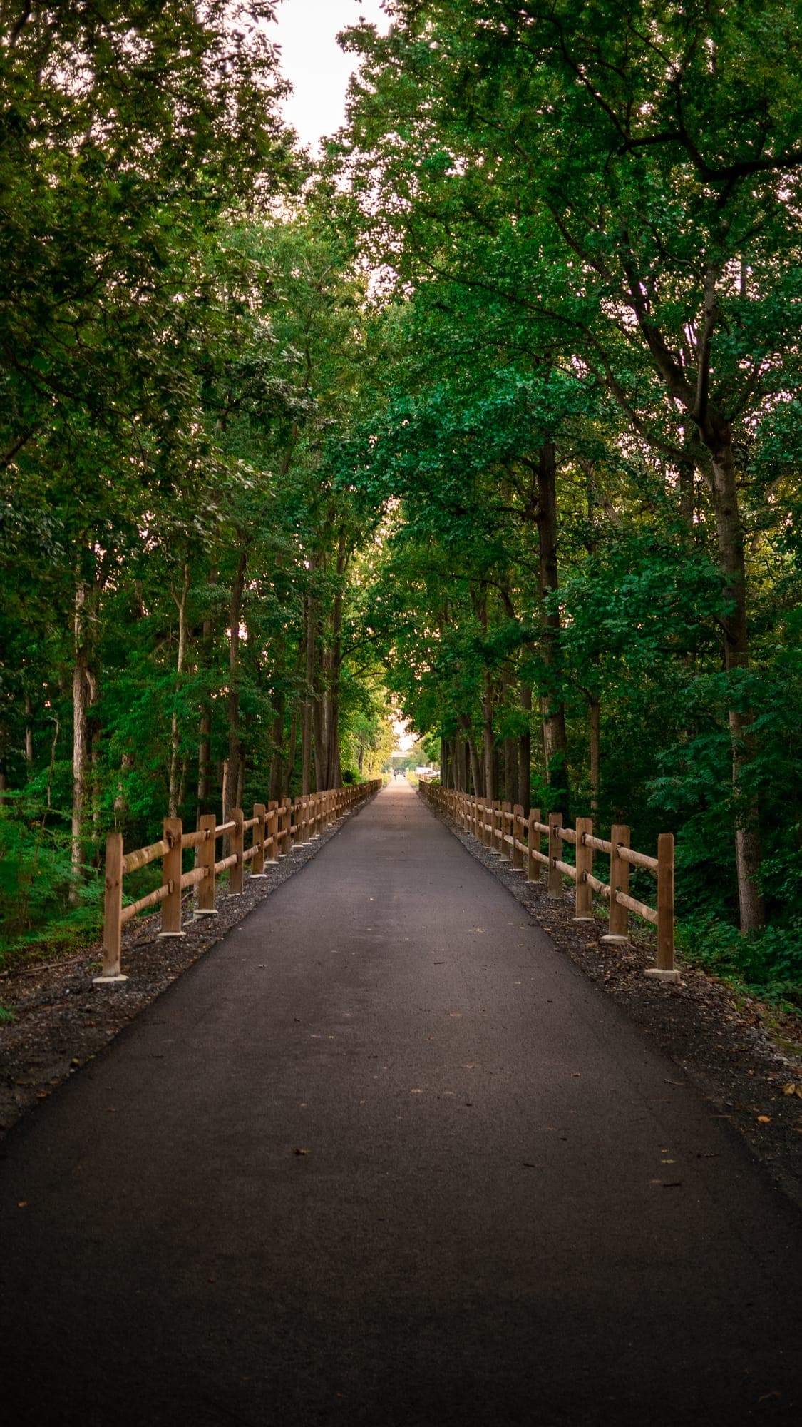 Straight tree-lined trail with split-rail wooden fences receding into deep green woods toward a distant pocket of light.