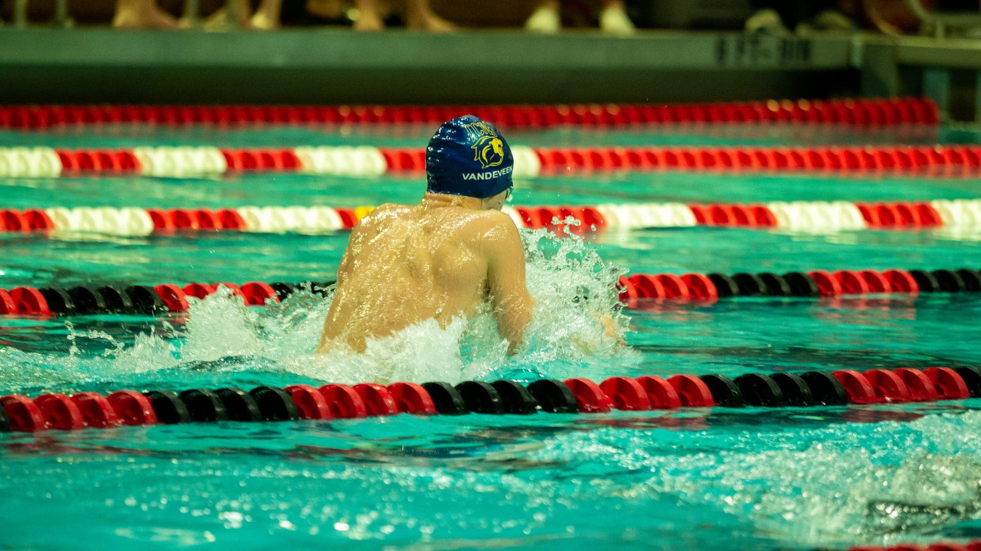 Breaststroke swimmer seen from behind, shoulders lunging out of the churned water mid-stroke